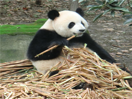 QQ图片20181007183347.png